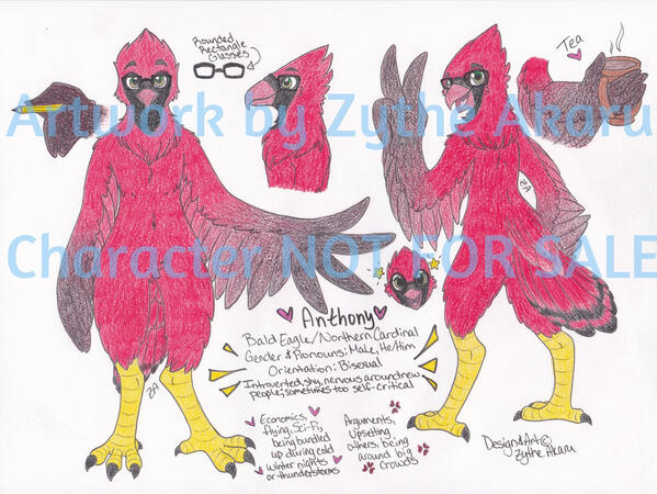 Anthony (Character Design &amp; Reference)